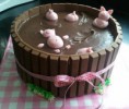 /album/galleria-foto-homepage/torta-al-cioccolato-jpg/